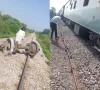 ایک اور ٹرین حادثہ، پاکستان ایکسپریس کھاریاں کے قریب پٹڑی سے اتر گئی، مین لائن بلاک