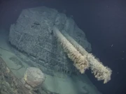 دوسری عالمی جنگ میں تباہ ہونیوالا جاپانی جہاز 82 برس بعد دریافت