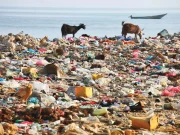 آلودگی, پلاسٹک ایکسپوژر اور خراب غذا، نوجوانوں میں کینسر کی بڑی وجوہات