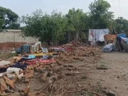 ڈی آئی خان میں طوفانی ہواؤں کے ساتھ موسلادھار بارش سے تباہی، 8 افراد جاں بحق