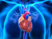قلبی مرض اور کینسر کا تشویش ناک سبب کا انکشاف