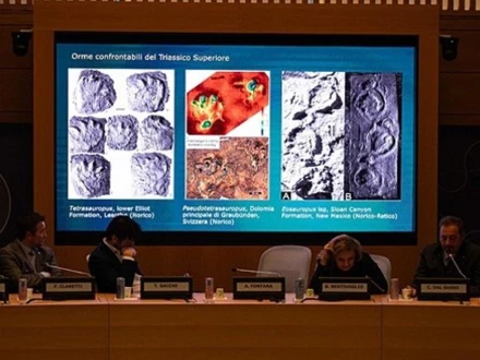 الپس کے پہاڑوں میں ہزاروں ڈائناسور کے قدموں کے نشانات دریافت، ماہر ارضیات حیران