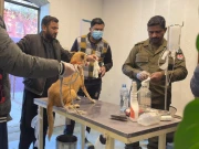 ظالموں نے کتیا کو بچوں سمیت ریلوے ٹریک پر باندھ دیا، جان کیسے بچی، ویڈیو دیکھیں