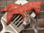 اسلام آباد میں ’’گدھے کے گوشت‘‘ کی فروخت، سوشل میڈیا پر طوفان