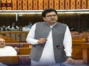 گنڈا پور مولا جٹ کی طرح بیانات دیتے ہیں کے پی میں تو آپریشن چل رہے ہیں، اپوزیشن لیڈر خیبرپختونخوا