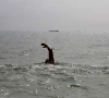 ہاکس بے کے سمندر میں نوجوان نہاتے  ہوئے ڈوب گیا