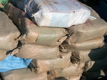 فوٹو: میڈیا