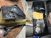 اے این ایف کی کارروائیاں، 39کروڑ 67لاکھ سے زائد مالیت کی منشیات برآمد