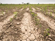 ملک میں بارشوں کی کمی سے خشک سالی کا خدشہ