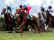 پاکستان ڈربی ریس سردار نامی گھوڑے نے جیت لی