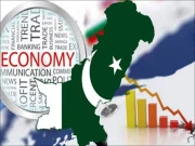 اقتصادی جائزہ رپورٹ اور عام کاشتکار