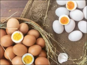 ابلے ہوئے انڈے زیادہ دن تک کیسے محفوظ رکھیں؟