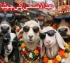 عیدالاضحیٰ پر منگل تا جمعہ 4چھٹیوں کا اعلامیہ جاری