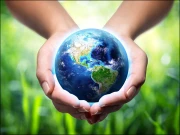 سبز مستقبل کی بنیاد: پنجاب نے بچوں کےلیے ماحولیاتی کہانیوں کی کتاب متعارف کرادی