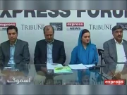 پنجاب حکومت نے پہلی بار اسموگ کیلیے 10 ارب اور ماحولیات کیلیے 100 ارب کا بجٹ رکھا ہے، مریم اورنگزیب