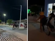 بیل نے نشے میں دھت مالک کو گھر پہنچادیا، ویڈیو انٹرنیٹ پر وائرل