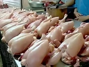 مرغی کے گوشت کی قیمت میں اضافے کی وجہ سامنے آگئی