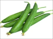 توری میں چھپے چند حیرت انگیز فوائد!