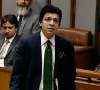 پی ٹی آئی پر بطور جماعت پابندی ہوگی، اپنے بیان پر قائم ہوں، فیصل واوڈا