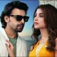 فرحان سعید نے زیادہ تر مردوں کو فراڈ قرار دے دیا