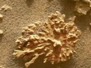 مریخ پر ناسا کی خلائی گاڑی نے عجیب ساخت کا پتھر دریافت کرلیا