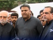  ٹینشن، گالم گلوچ کا ماحول ختم کرکے سب سیاسی رہنما ڈائیلاگ کی طرف آئیں، نیشنل ڈائیلاگ کمیٹی