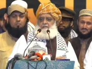 پاکستان نے مسلمانوں کی جنگ نہ لڑی تو یہ قیام پاکستان کی نفی ہے، فضل الرحمان