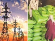 گیس ڈیولپمنٹ سرچارج کی مد میں کھاد و بجلی کمپنیوں سے 33 ارب کی کم وصولی کا انکشاف