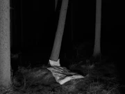 ڈراؤنے خواب زیادہ  آنا اور موت کے درمیان تعلق کا انکشاف