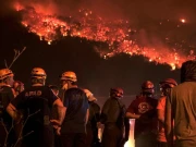 ترکیہ؛ جنگلات میں لگی خوفناک آگ کو بجھانے کی کوشش میں مزید 2 فائر فائٹر جاں  بحق