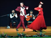 پشاور میں ہسپانوی ثقافت کی جھلک، فلیمنکو رقص نے سماں باندھ دیا