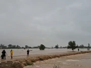 راوی اور چناب میں طغیانی سے اگلے 48گھنٹے انتہائی نازک ہیں، پی ڈی ایم اے پنجاب