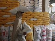 فلور ملز ایسوسی ایشن سندھ نے گندم کے مصنوعی بحران کا ذمہ دار پنجاب حکومت کو قرار دے دیا