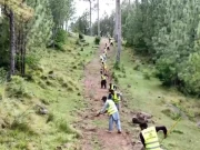 پنجاب؛ یومیہ اجرت پر جنگلوں میں کام کرنے والے مزدوروں کی ادائیگی کیلیے جدید نظام متعارف