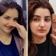 خاتون ٹک ٹاکر کے قتل کے کیس میں اہم پیش رفت، 2 مبینہ شوٹرز گرفتار