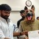 آوارہ کتوں سے پریشان شہری خود ’کتا‘ بن کر احتجاج کرنے پہنچ گیا