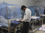راولپنڈی میں ڈینگی کیسز کی مجموعی تعداد 34 ہو گئی
