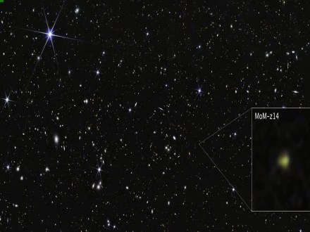 ایم او ایم زیڈ14  گلیکسی—فوٹو