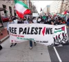 غزہ نسل کشی کے بعد امریکی عوام میں اسرائیل کی مقبولیت میں نمایاں کمی، نئے سروے میں اہم انکشافات