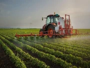 گرین کارپوریٹ انیشی ایٹو کی کوششوں سے زرعی منظر نامے میں نمایاں تبدیلی