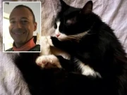 اپنی بلی کیلئے اسپتال کے قوانین بالائے طاق رکھنے والا ڈاکٹر زیرِ تفتیش 