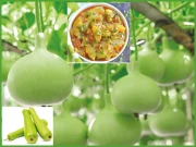 گھیے کا چھلکا اتارا جائے یا نہیں؟