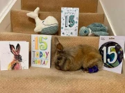 دنیا کا معمر ترین برطانوی خرگوش