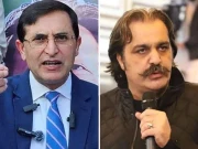 بیرسٹر گوہر کی علی امین سے ملاقات، پارٹی رہنماؤں کے خلاف بیان نہ دینے کی درخواست