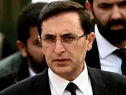 بیرسٹر گوہر کی پی ٹی آئی اراکین کو وفاقی بجٹ کی حمایت کی ہدایت