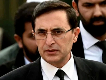 بیرسٹر گوہر کی پی ٹی آئی اراکین کو وفاقی بجٹ کی حمایت کی ہدایت