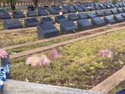 سڈنی میں مسلمانوں کے قبرستان کی بے حرمتی، سور کے کٹے ہوئے سر رکھ دیئے گئے