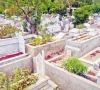 لاہور میں لاوارث میتوں کی تدفین سنگین انتظامی مسئلہ بننے لگی
