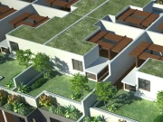 بارش کا پانی ذخیرہ اور چھتیں سرسبز، وفاقی کابینہ نے گرین بلڈنگ کوڈ کی منظوری دے دی