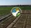 گرین پاکستان انیشیٹو؛ بلوچستان میں زرعی ترقی و خوشحالی کی جانب اہم پیش رفت